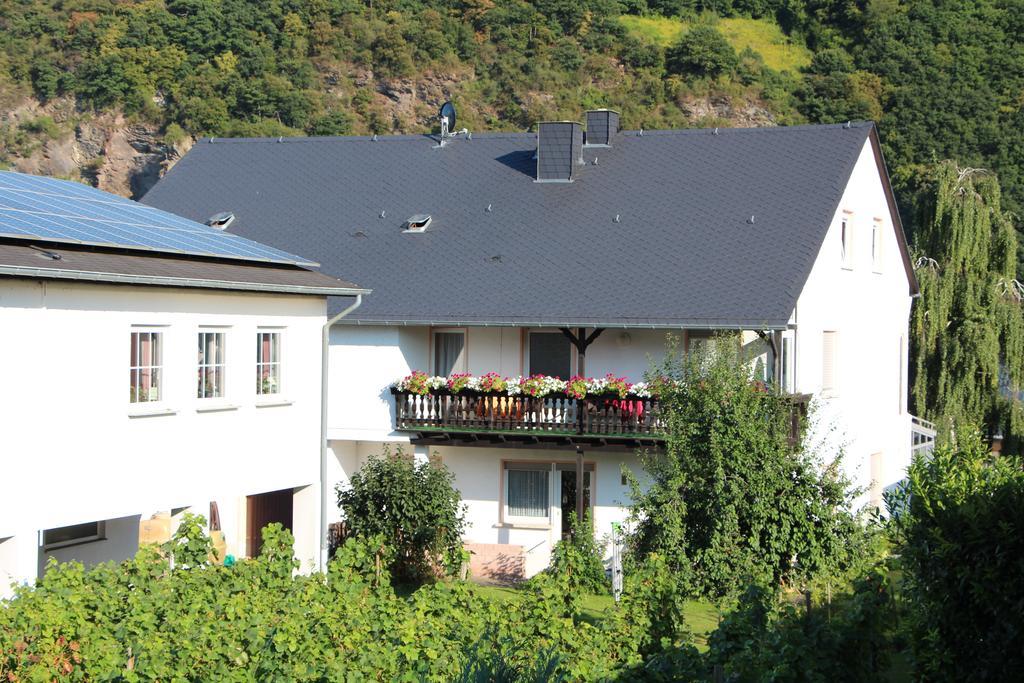Weinfelderhof Hotel Krov Exterior photo